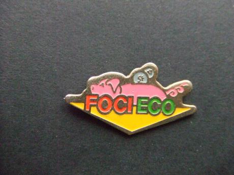 Foci Eco onbekend spaarvarken